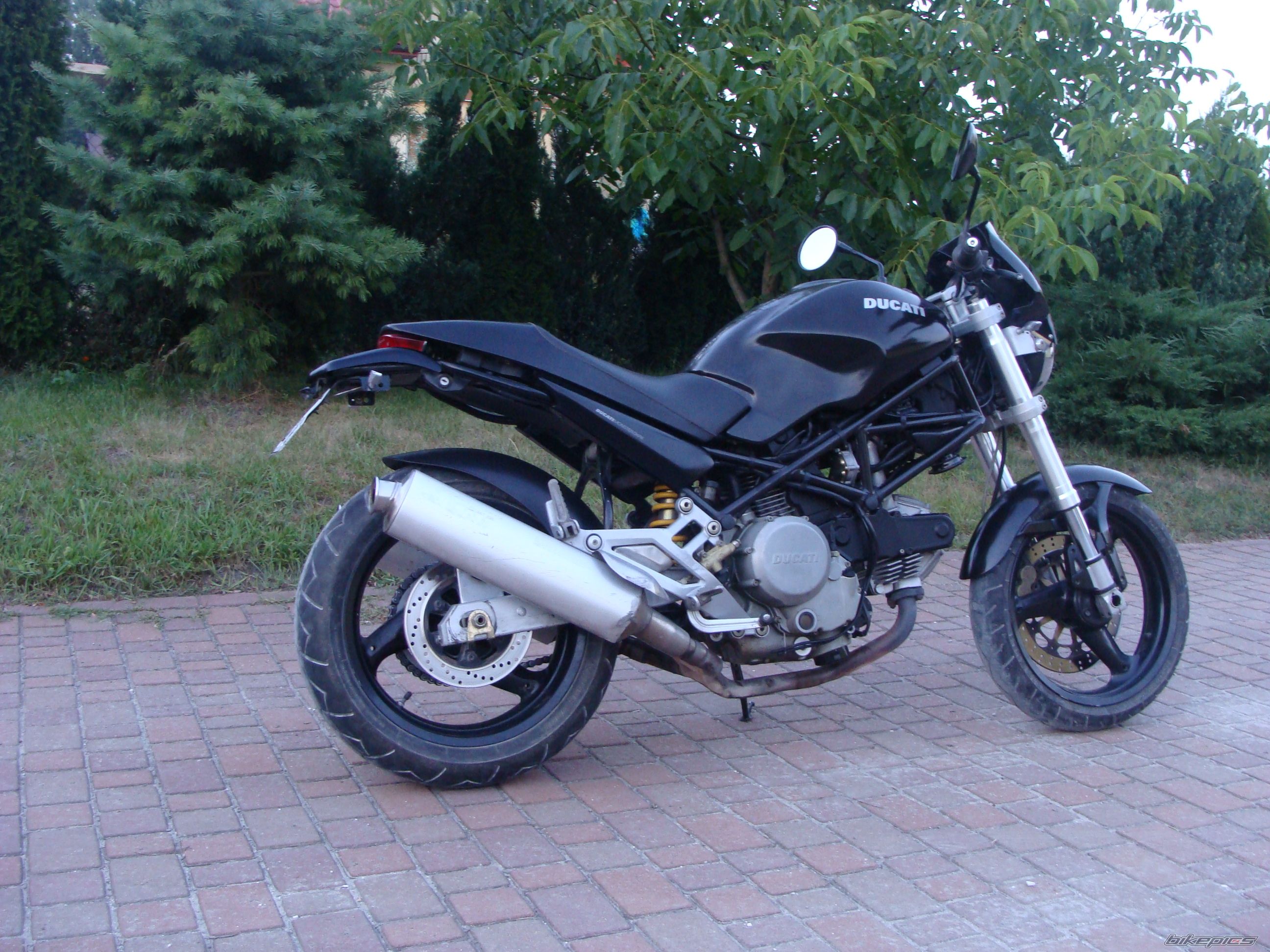 2000 DUCATI MONSTER 600 | Picture 2585224 motorcycle photo