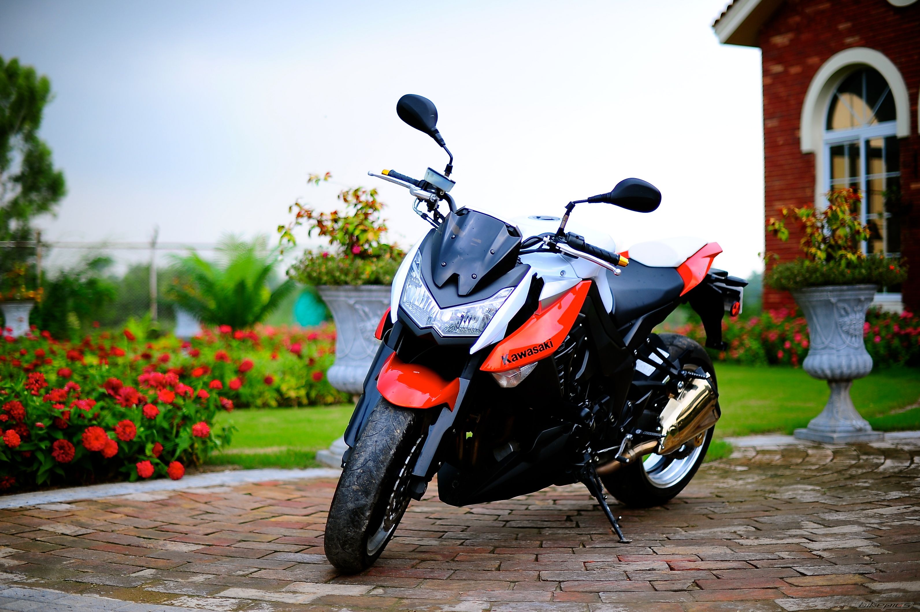 2010 KAWASAKI Z1000 | Picture 2585374 motorcycle photo