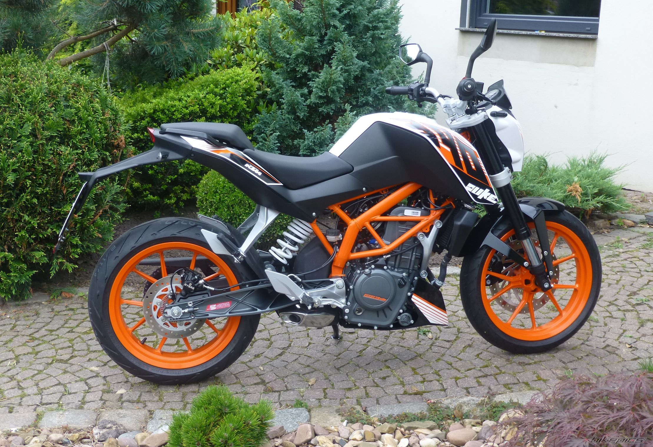2013 KTM DUKE 390 | Picture 2585763 motorcycle photo