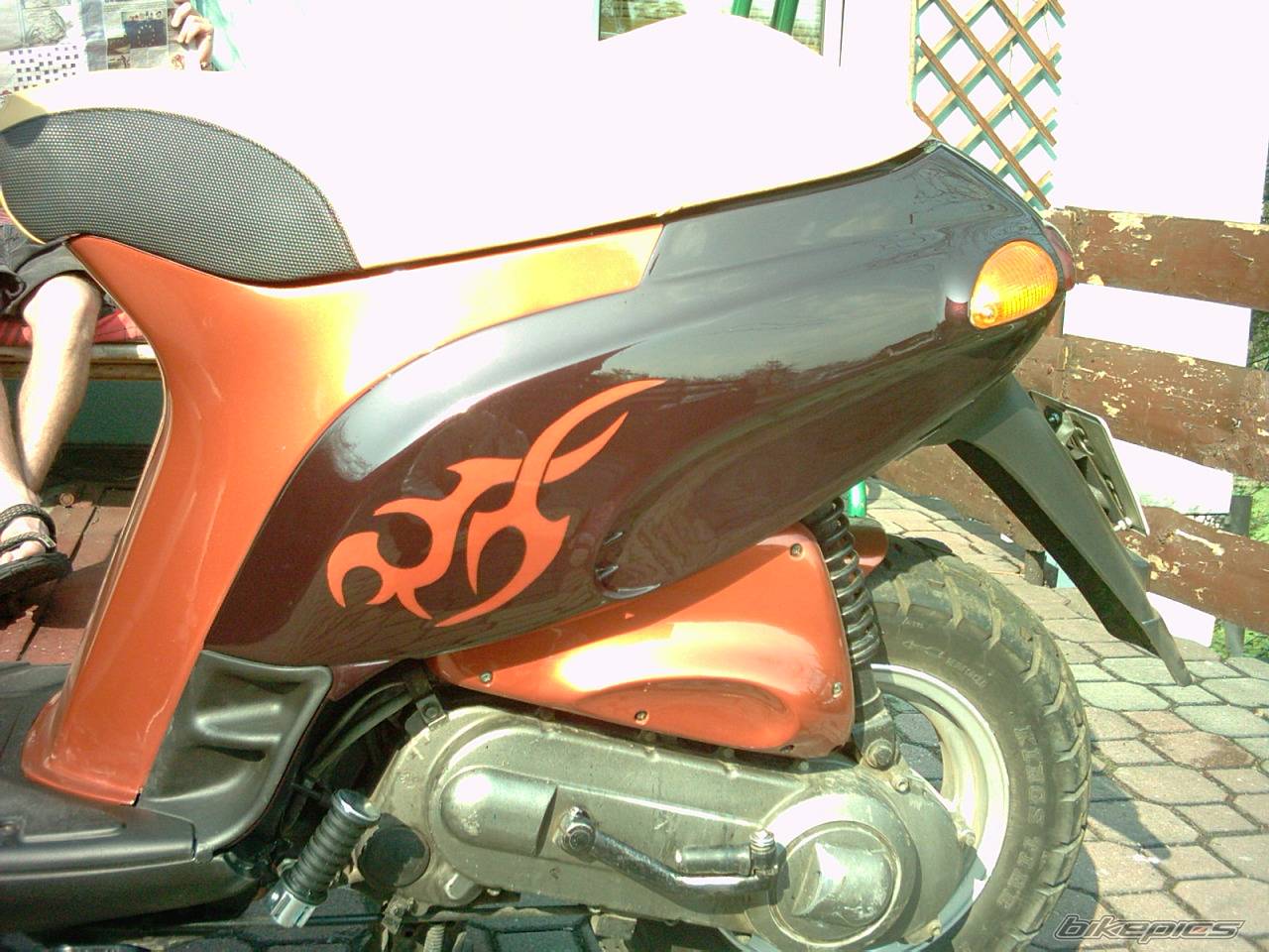 1993 PIAGGIO TYPHOON 50 | Picture 258640 motorcycle photo