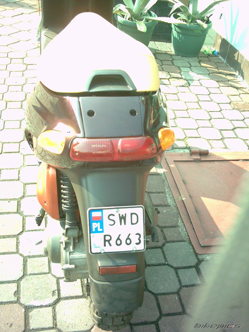 1993 PIAGGIO TYPHOON 50 | Picture 258642 motorcycle photo