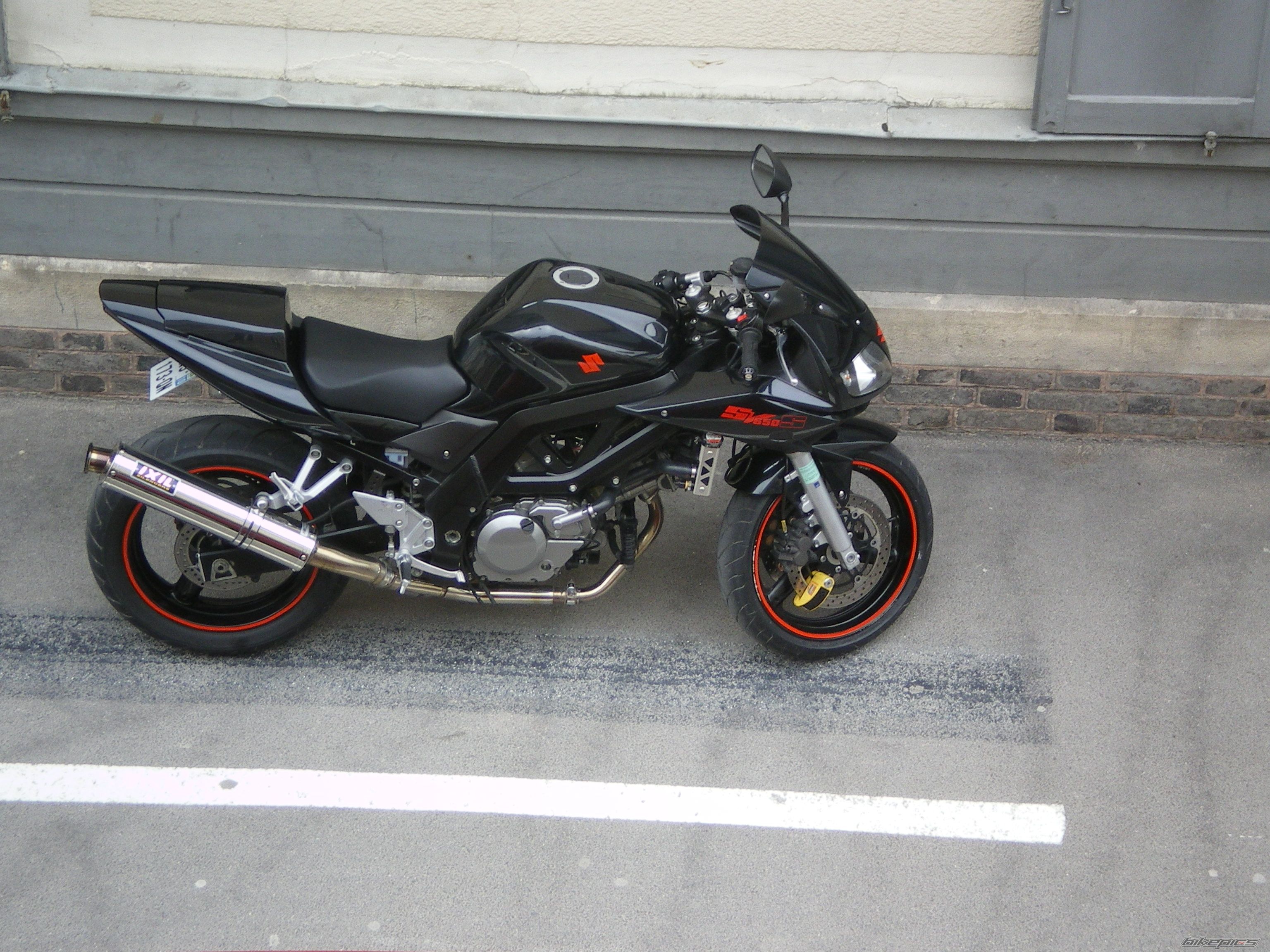 2006 SUZUKI SV 650S | Picture 2587425 motorcycle photo