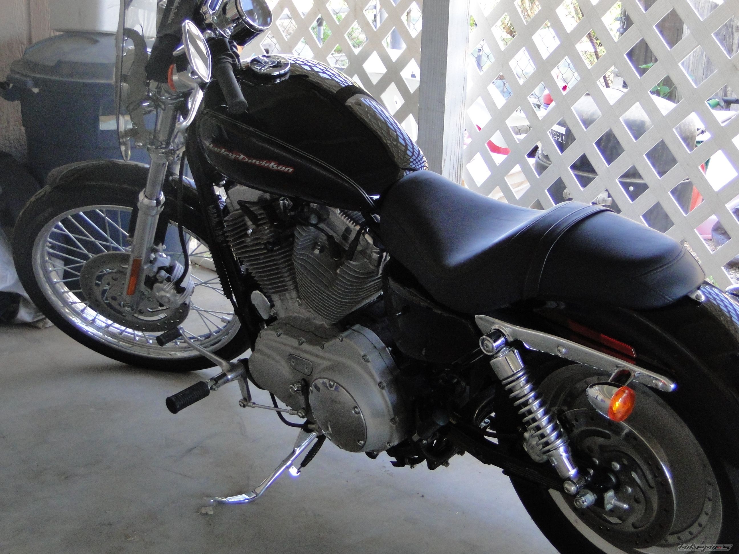 2004 HARLEY DAVIDSON XL 883 CUSTOM | Picture 2587444 motorcycle photo