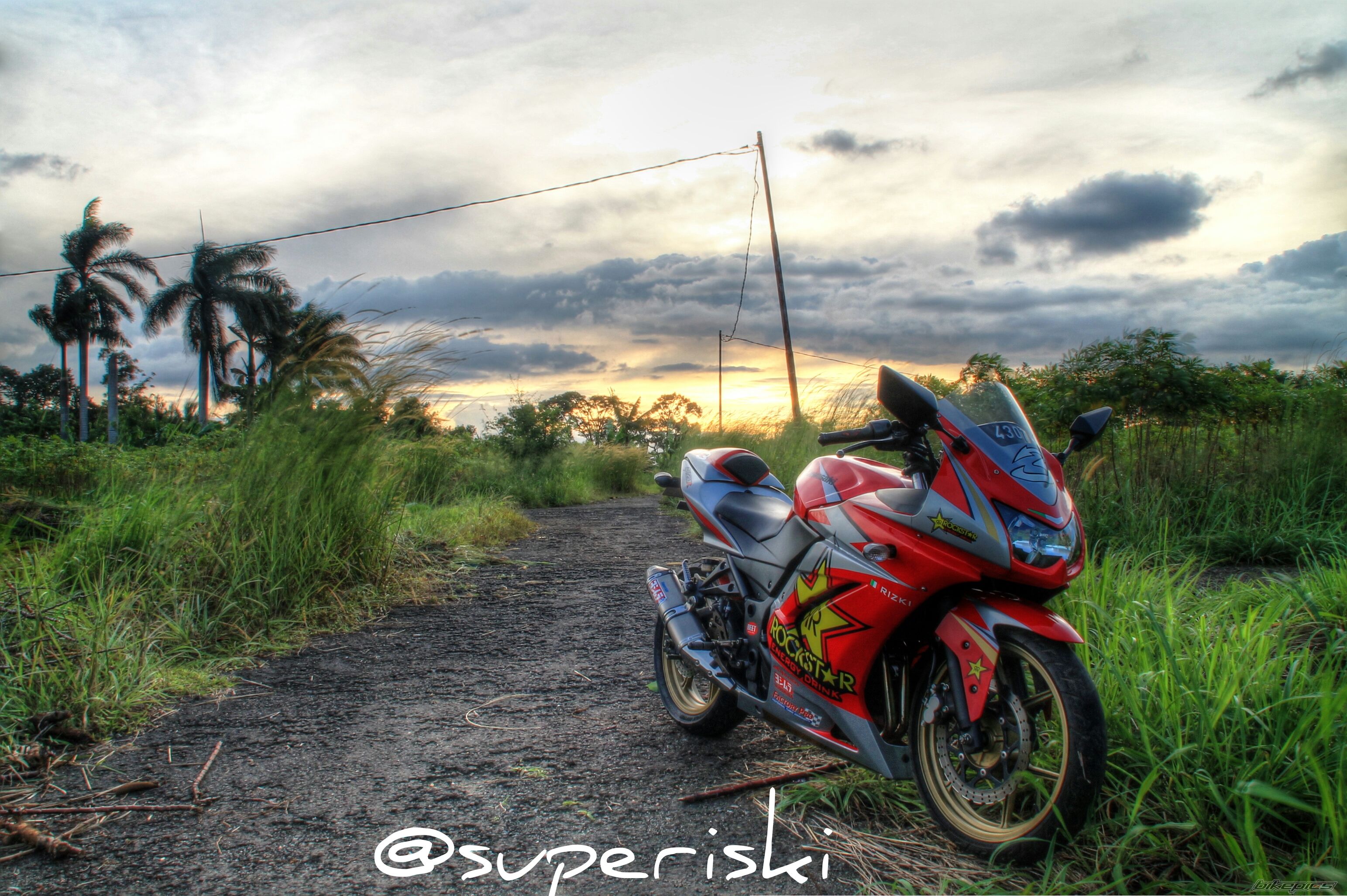 2009 KAWASAKI NINJA 250R | Picture 2587465 motorcycle photo