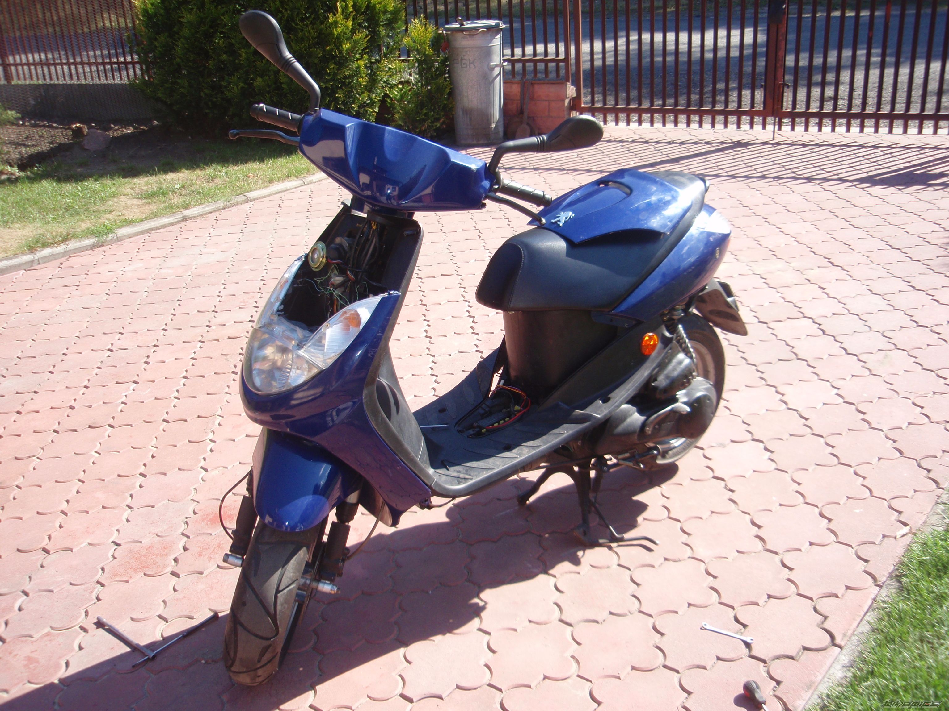    | Picture 2587968 motorcycle photo