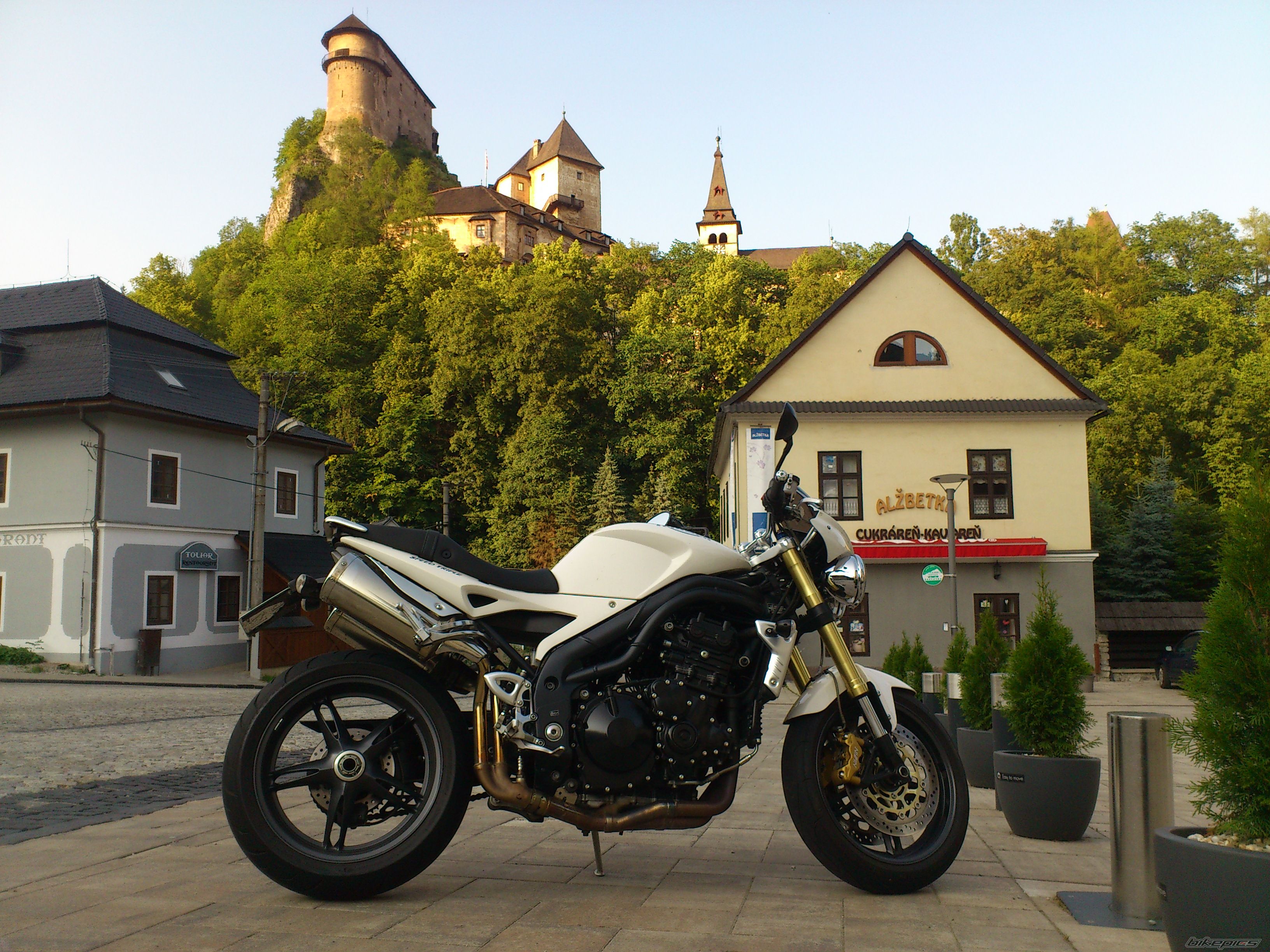 2006 TRIUMPH SPEED TRIPLE | Picture 2588210 motorcycle photo