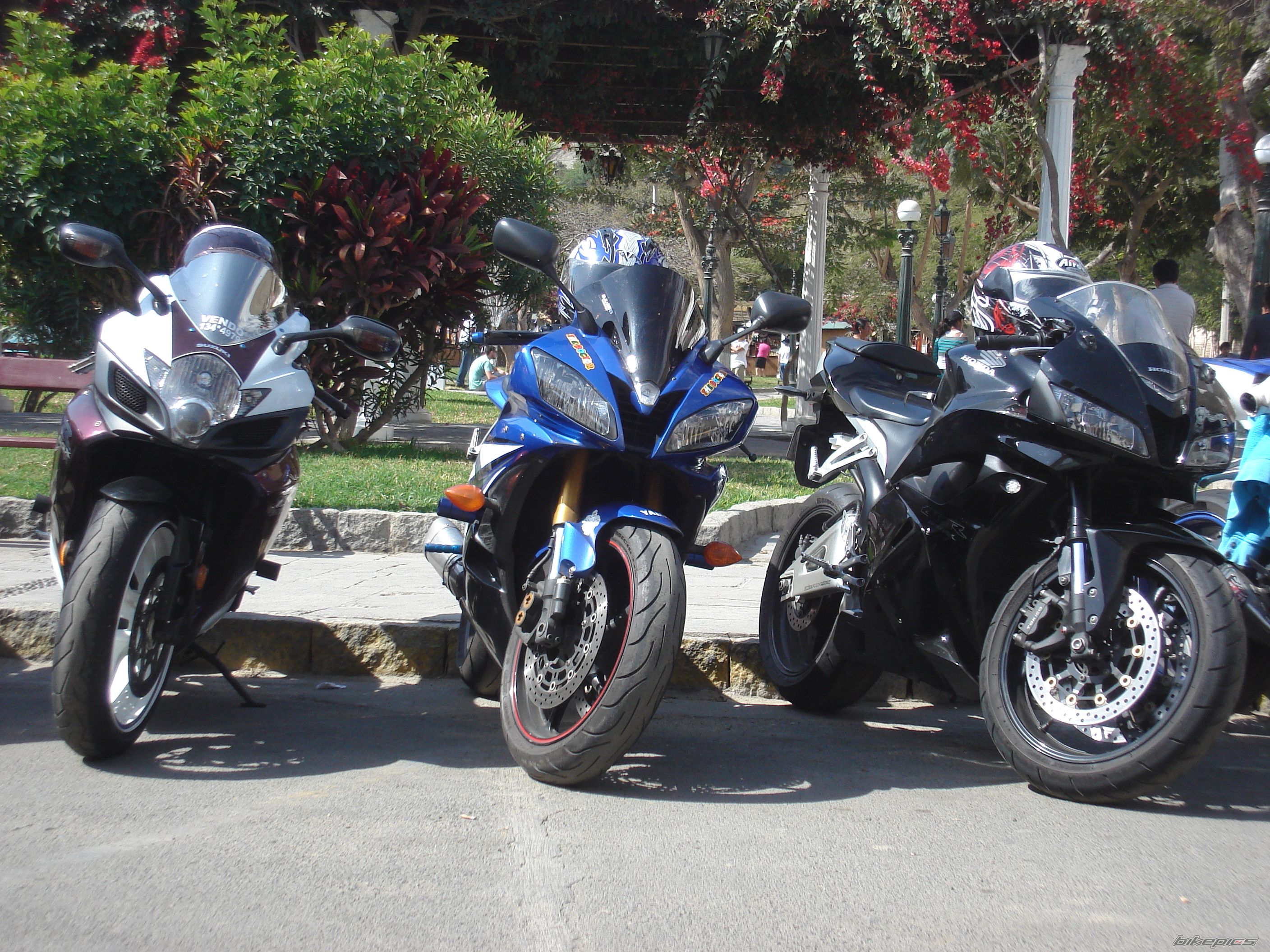 2008 YAMAHA YZF R6 | Picture 2588246 motorcycle photo