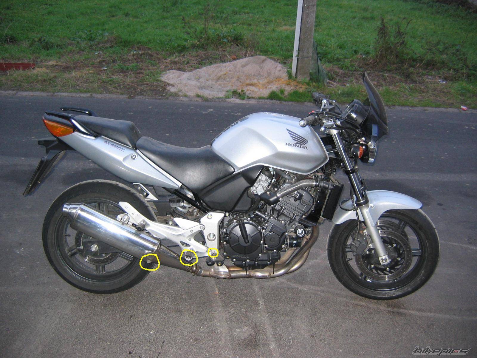 2004 HONDA CBF 600 | Picture 258903 motorcycle photo