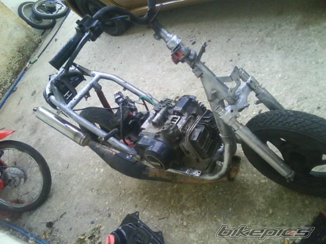 2013 HONDA DIO ZX | Picture 2589530 motorcycle photo