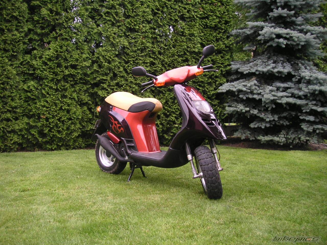 1993 PIAGGIO TYPHOON 50 | Picture 259022 motorcycle photo