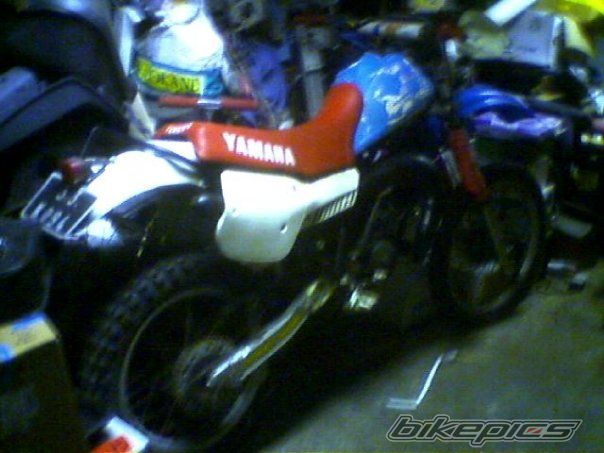 1983 YAMAHA IT 175 | Picture 2590318 motorcycle photo