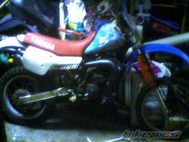 1983 YAMAHA IT 175 | Picture 2590319 motorcycle photo