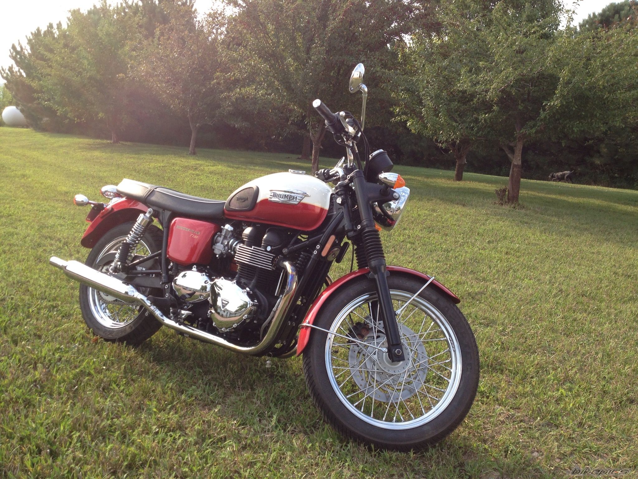 2013 TRIUMPH BONNEVILLE T100 | Picture 2590743 motorcycle photo