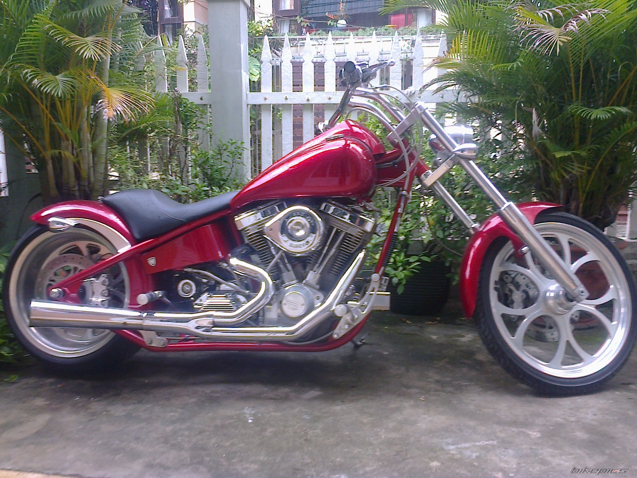 2003 BIGDOG PITBULL | Picture 2590905 motorcycle photo