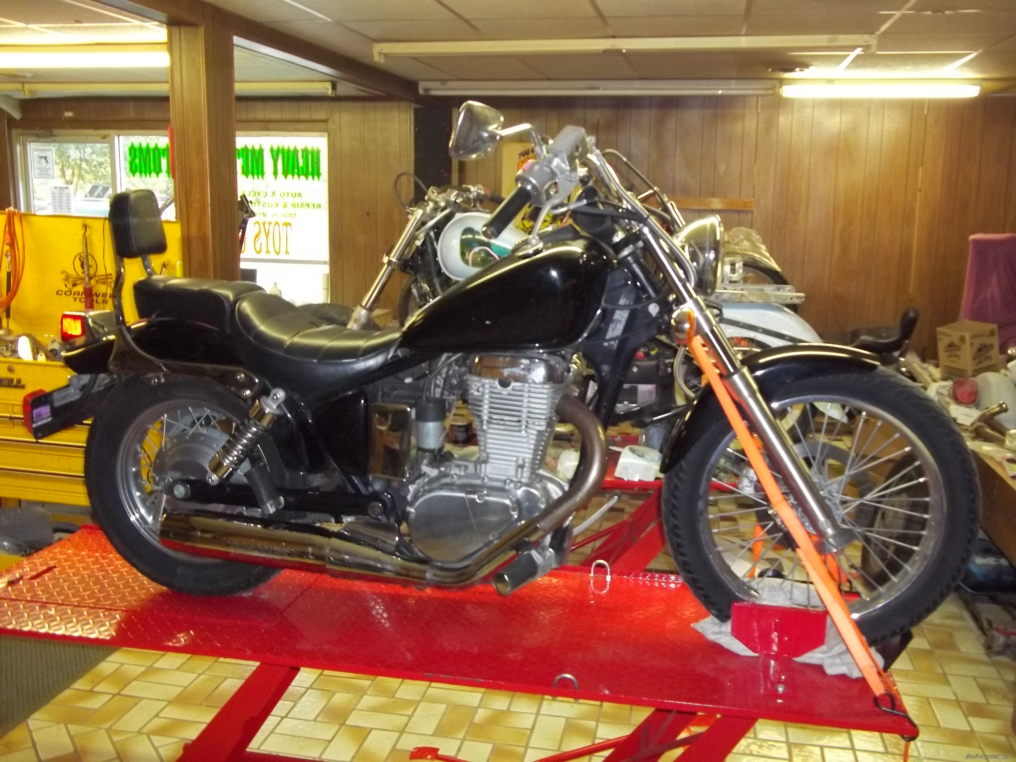 2000 SUZUKI SAVAGE | Picture 2591554 motorcycle photo
