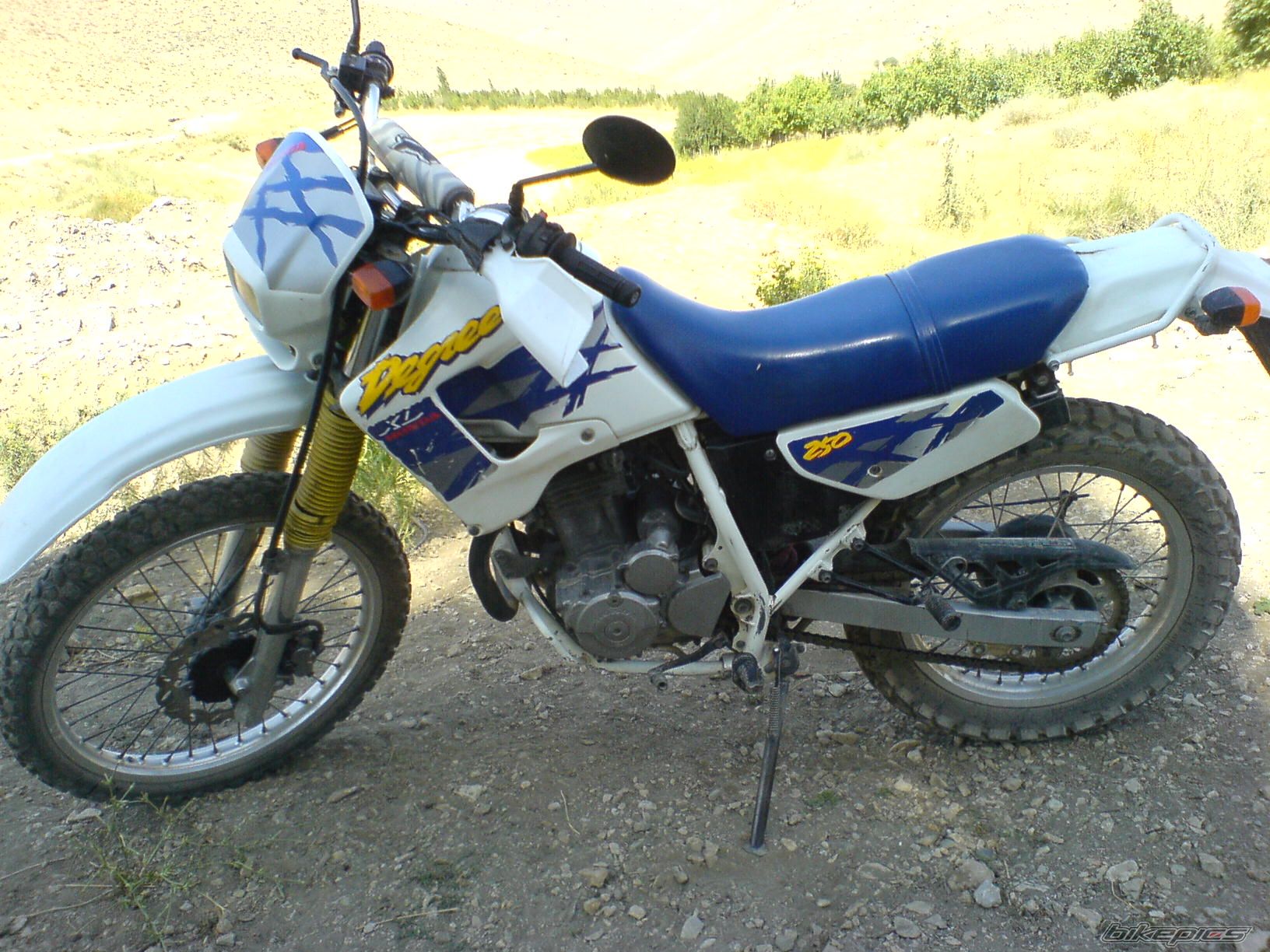 1994 HONDA DEGREE | Picture 2591595 motorcycle photo