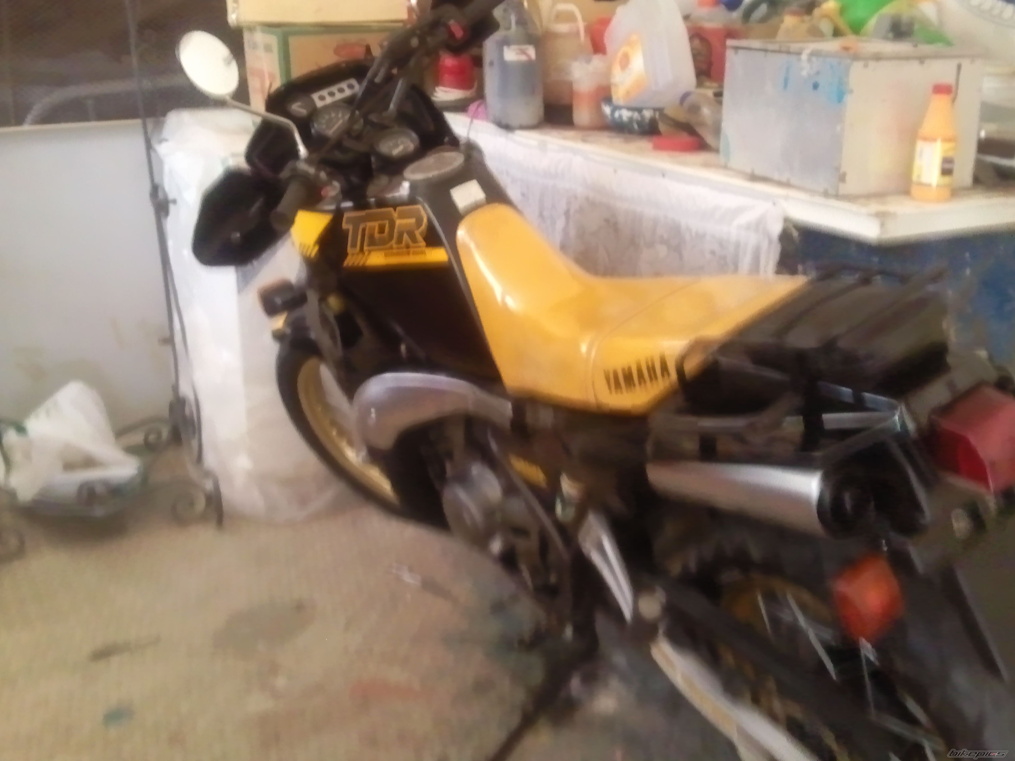 1996 YAMAHA TDR 250 | Picture 2592480 motorcycle photo