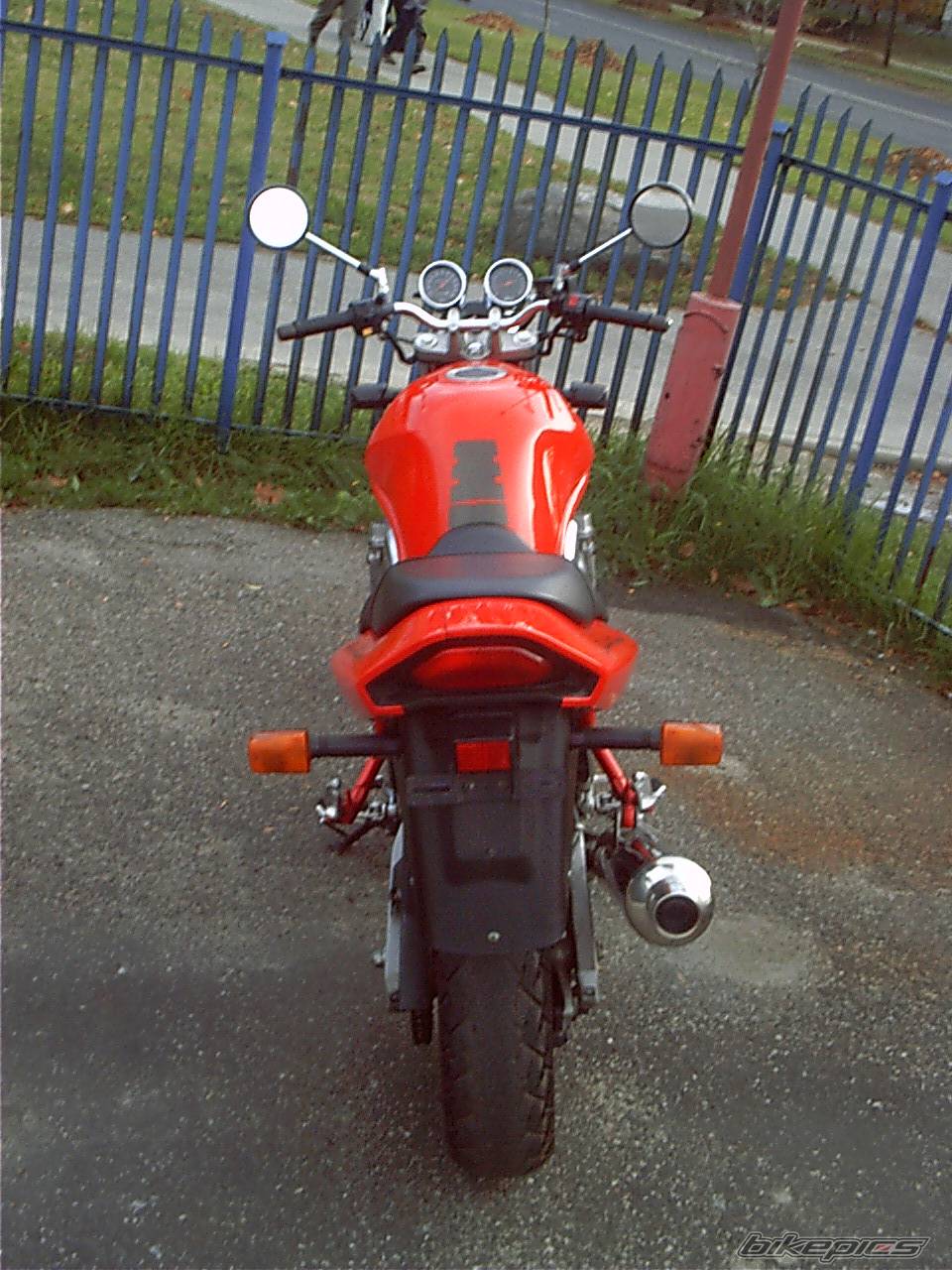 1995 SUZUKI BANDIT 600 | Picture 259403 motorcycle photo