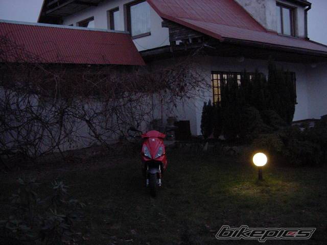 2003 PEUGEOT JET FORCE | Picture 259433 motorcycle photo