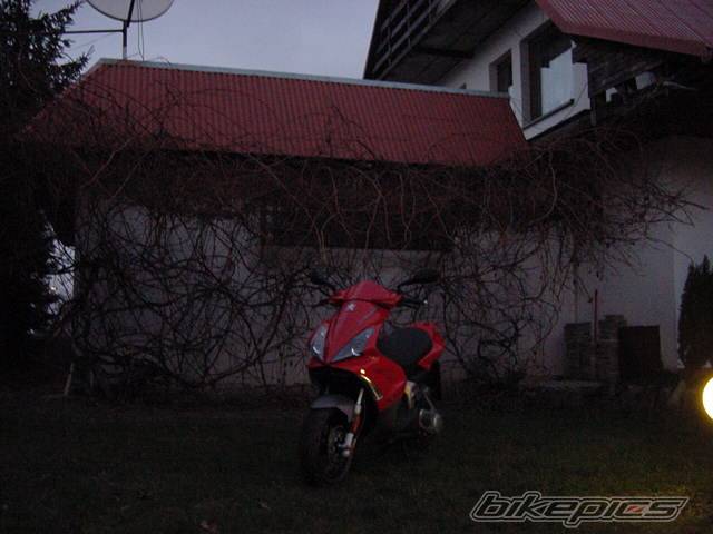 2003 PEUGEOT JET FORCE | Picture 259437 motorcycle photo