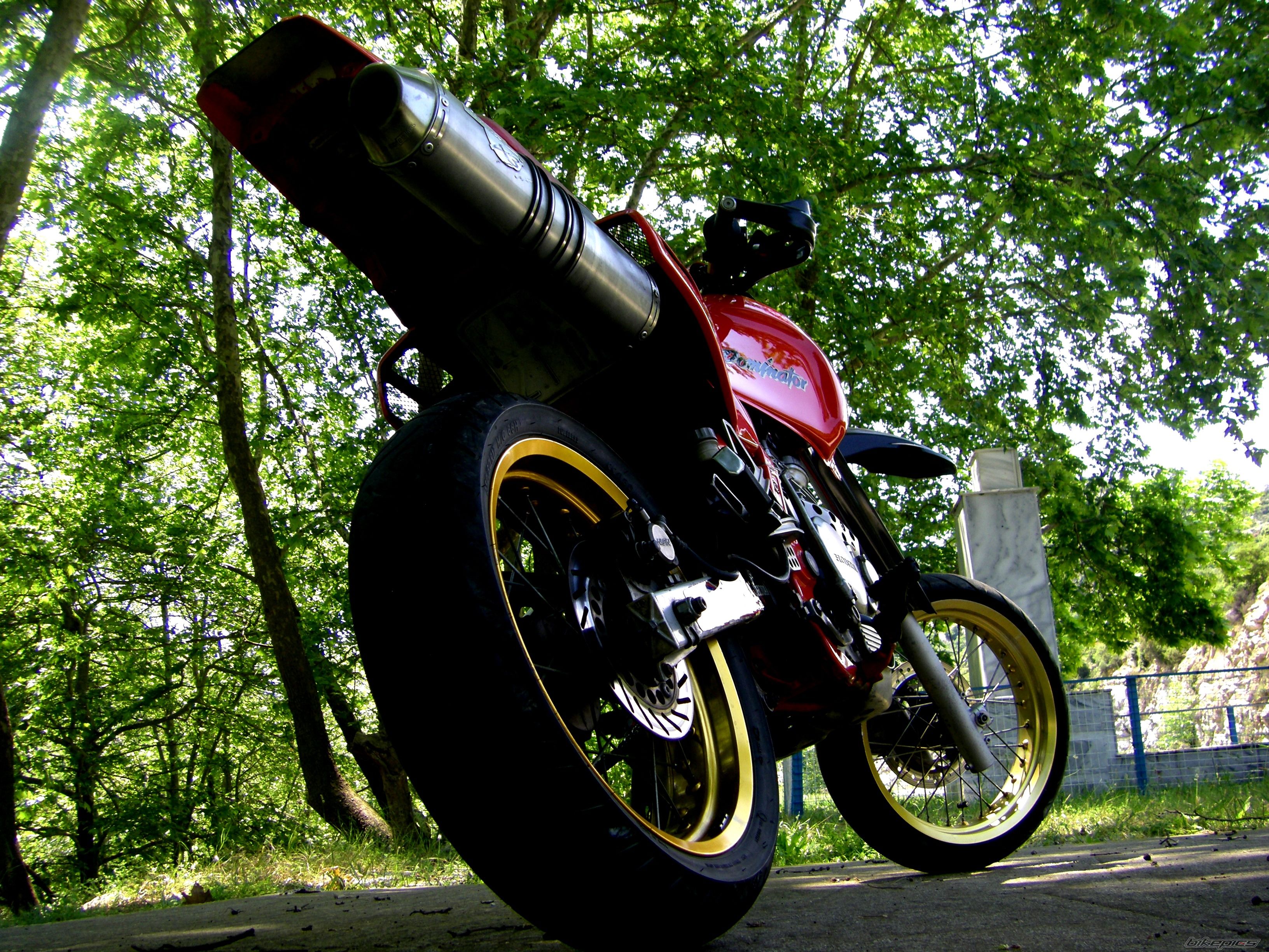 1988 HONDA NX 650 DOMINATOR | Picture 2594457 motorcycle photo