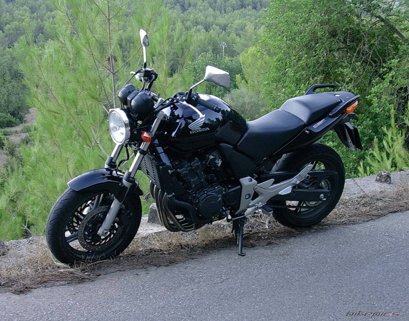 2004 HONDA CBF 600 | Picture 259452 motorcycle photo