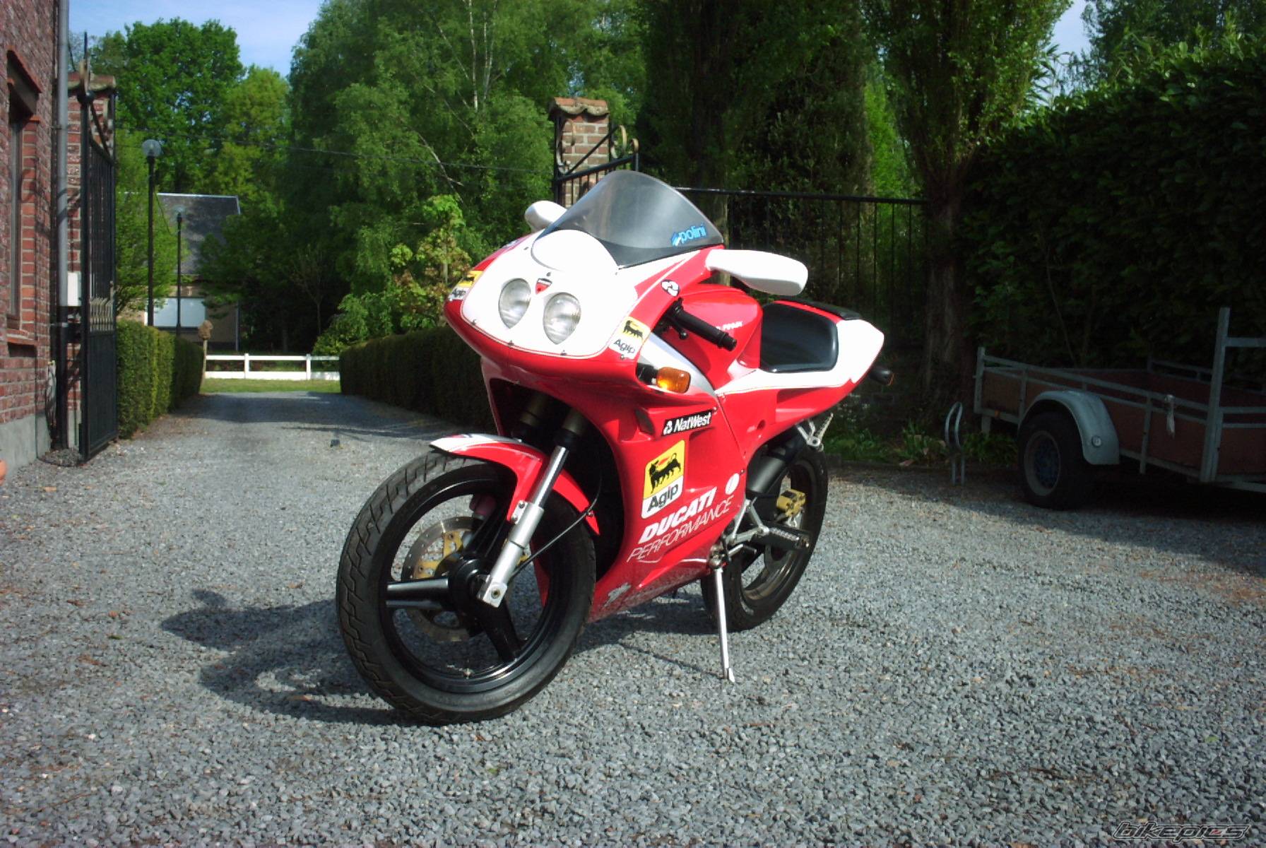 1994 CAGIVA PRIMA 50 | Picture 259495 motorcycle photo
