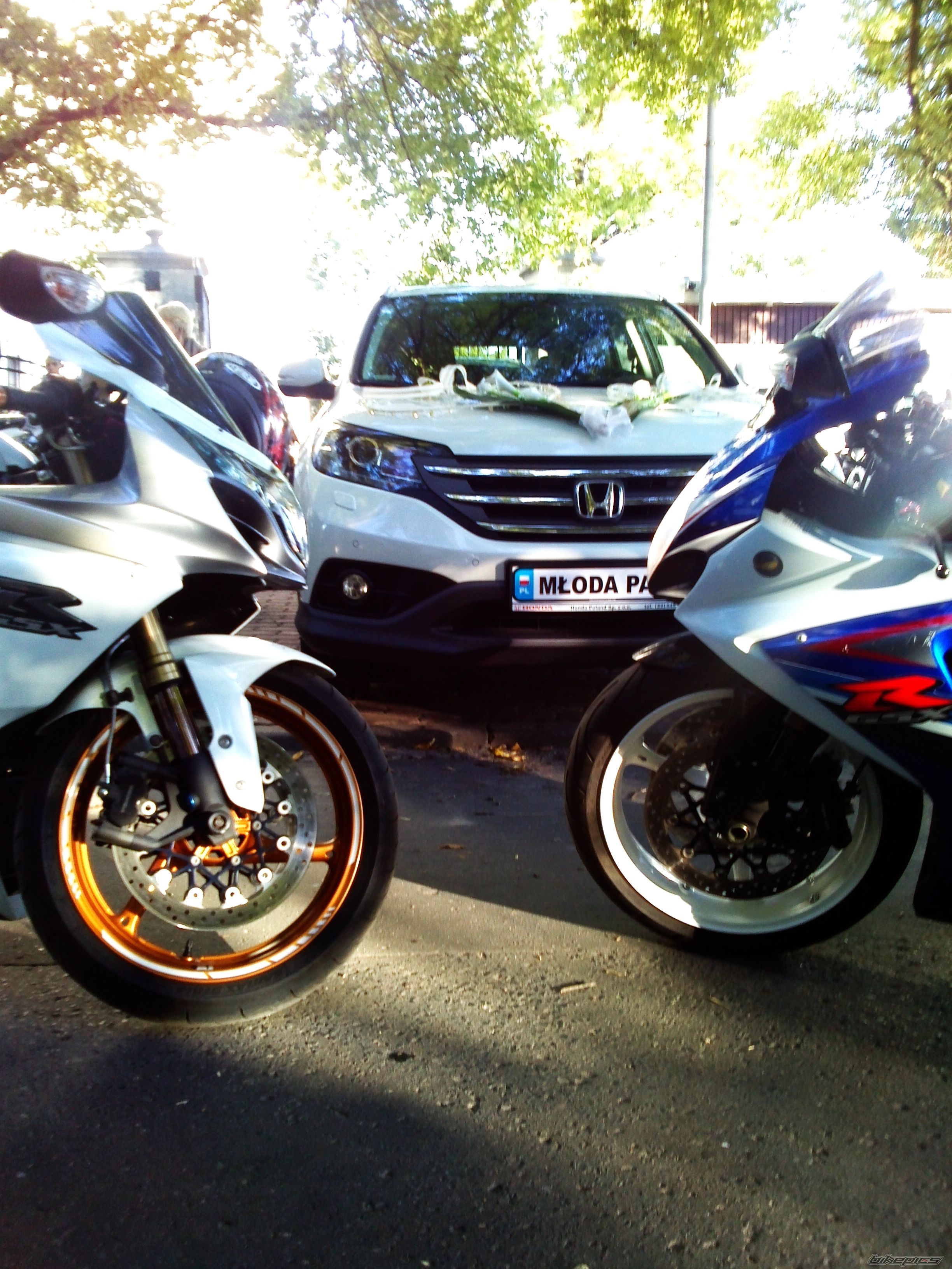 2009 SUZUKI GSX R 1000 | Picture 2595778 motorcycle photo
