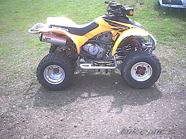 2002 HONDA 300EX | Picture 259624 motorcycle photo
