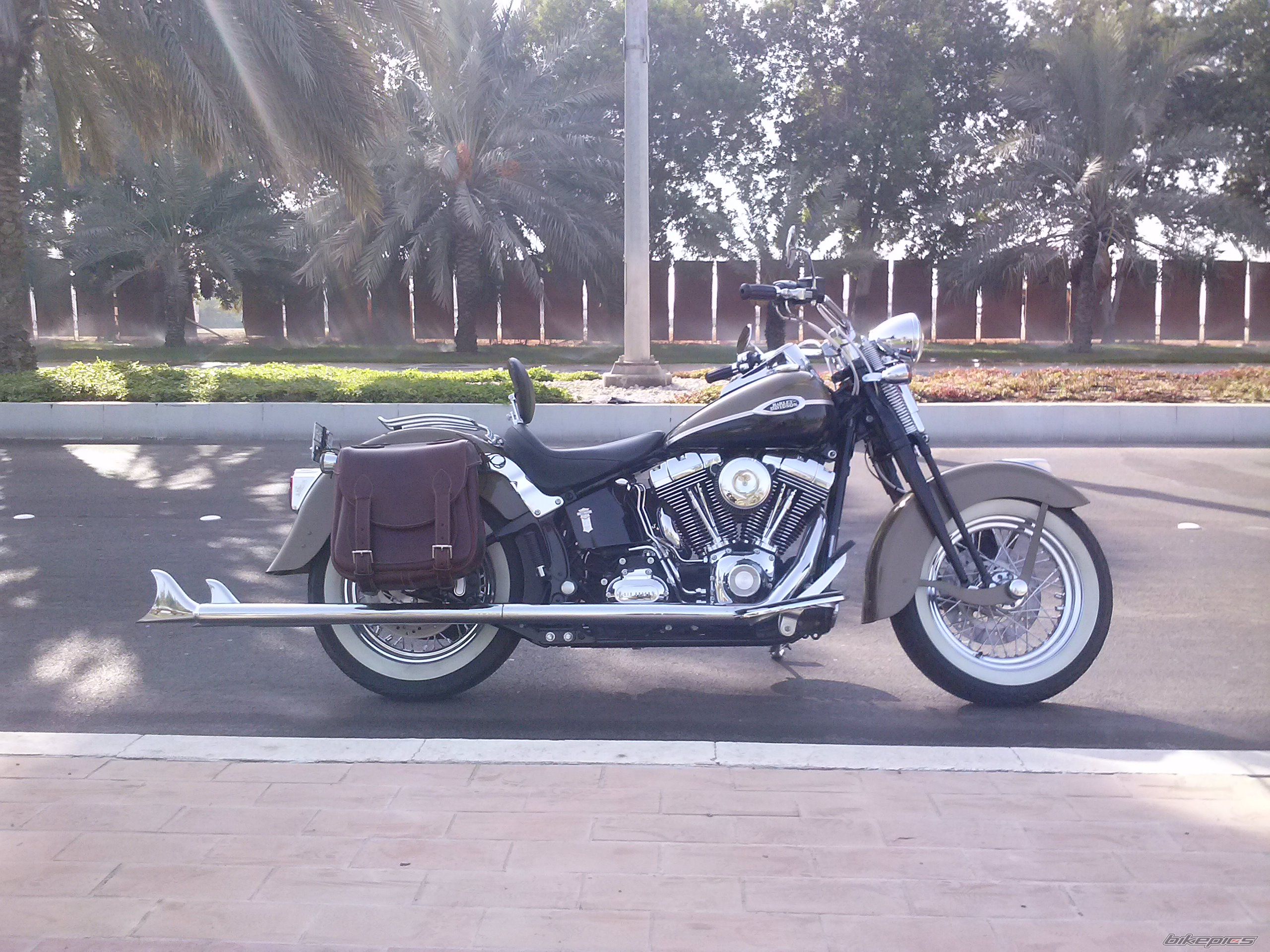 2007 HARLEY DAVIDSON FLSTSCI SOFTAIL SPRINGER CLASSIC | Picture 2596628 motorcycle photo