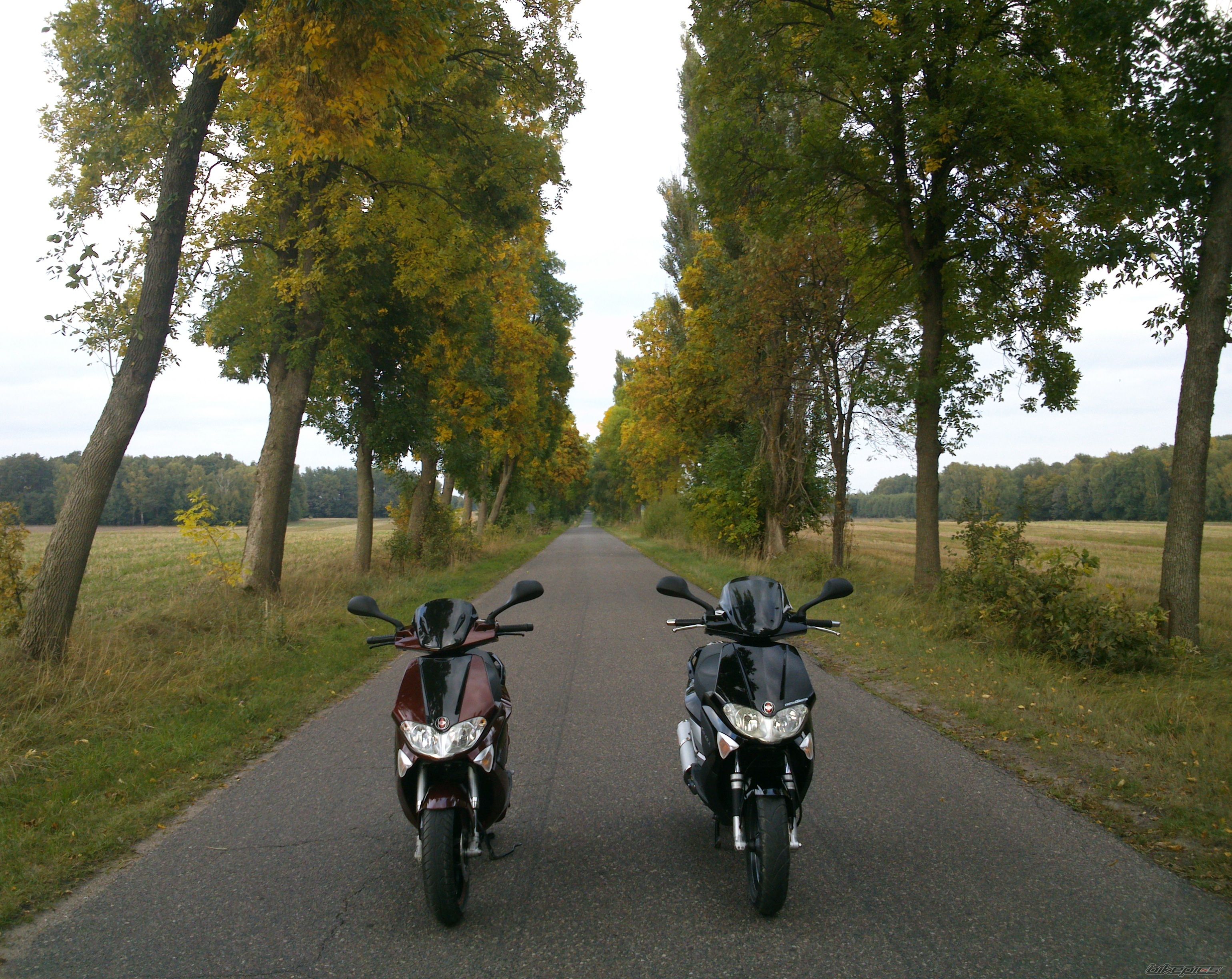 2007 GILERA RUNNER 125 VX | Picture 2597890 motorcycle photo