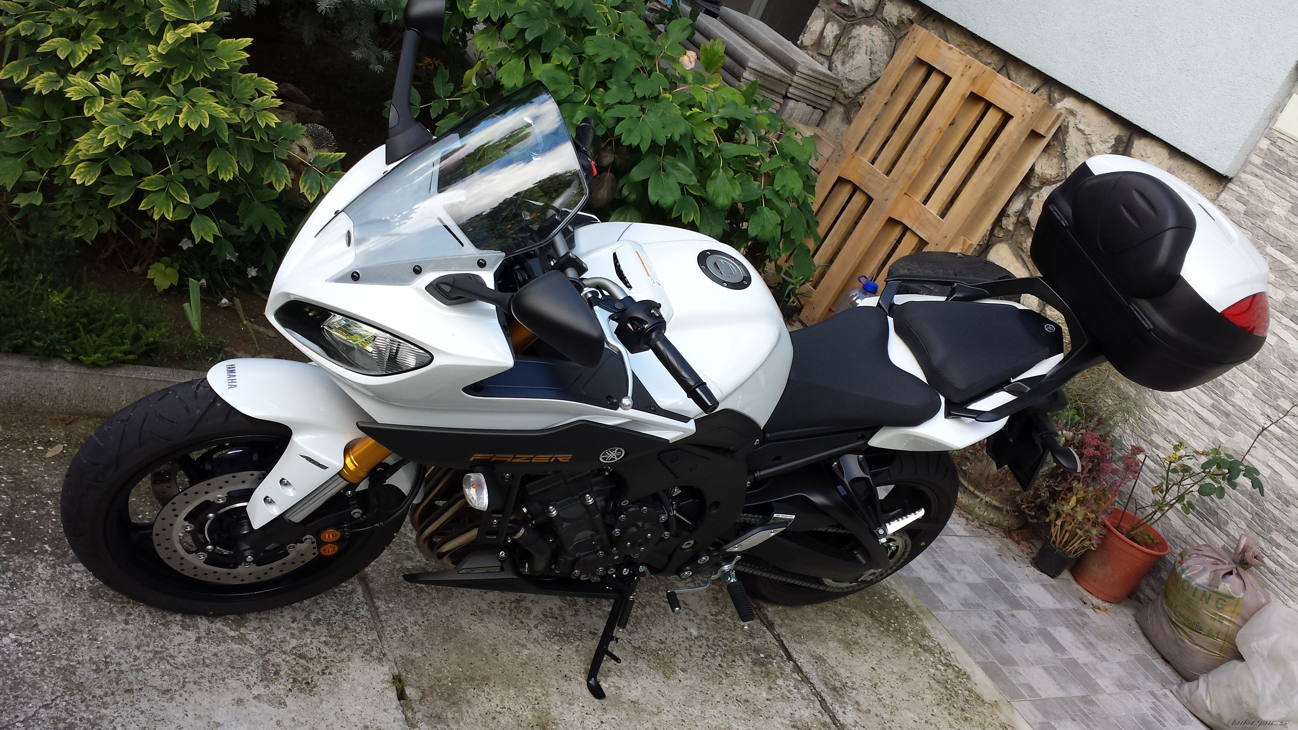 2013 YAMAHA FZ 8 | Picture 2599122 motorcycle photo