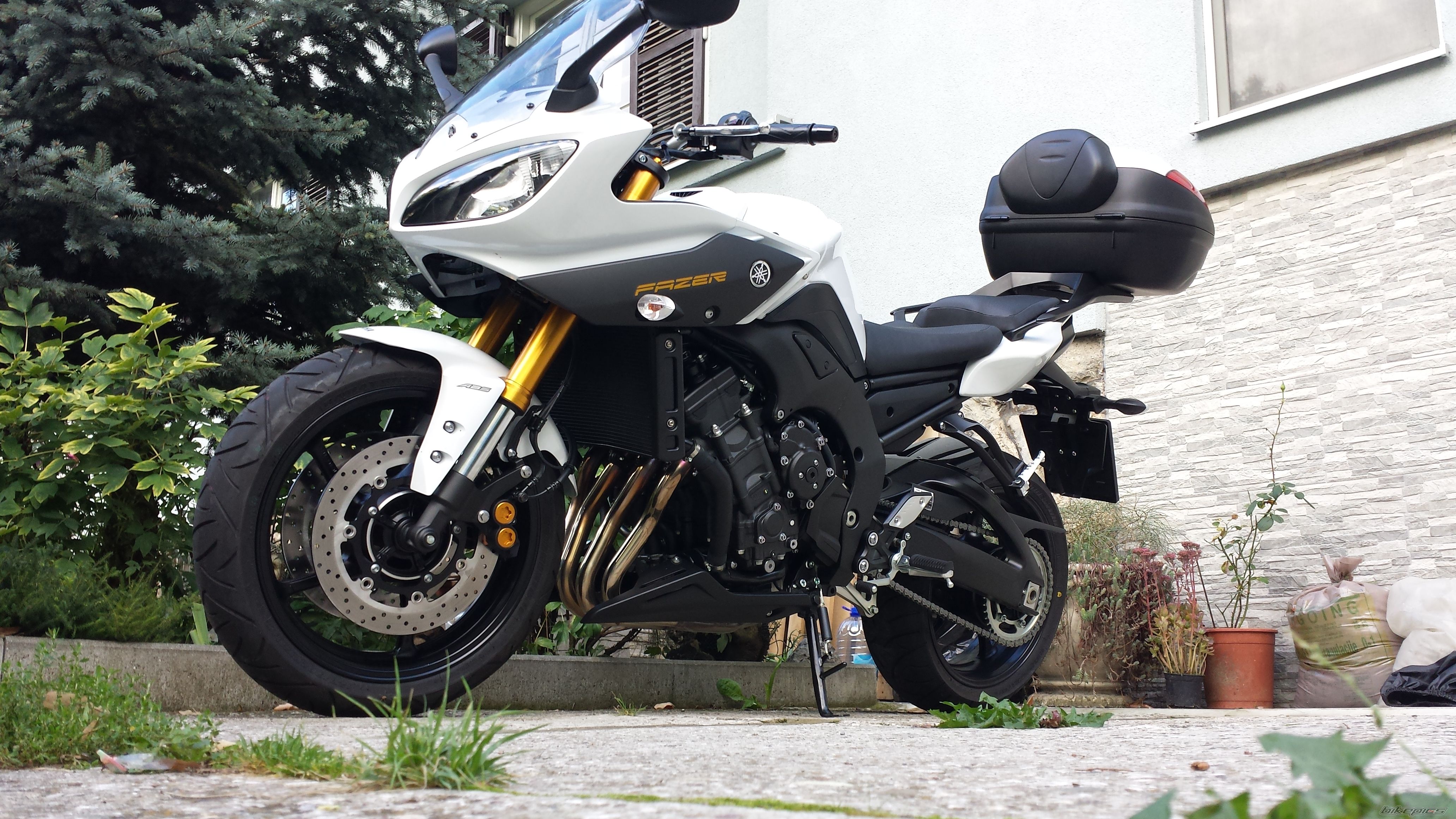 2013 YAMAHA FZ 8 | Picture 2599123 motorcycle photo