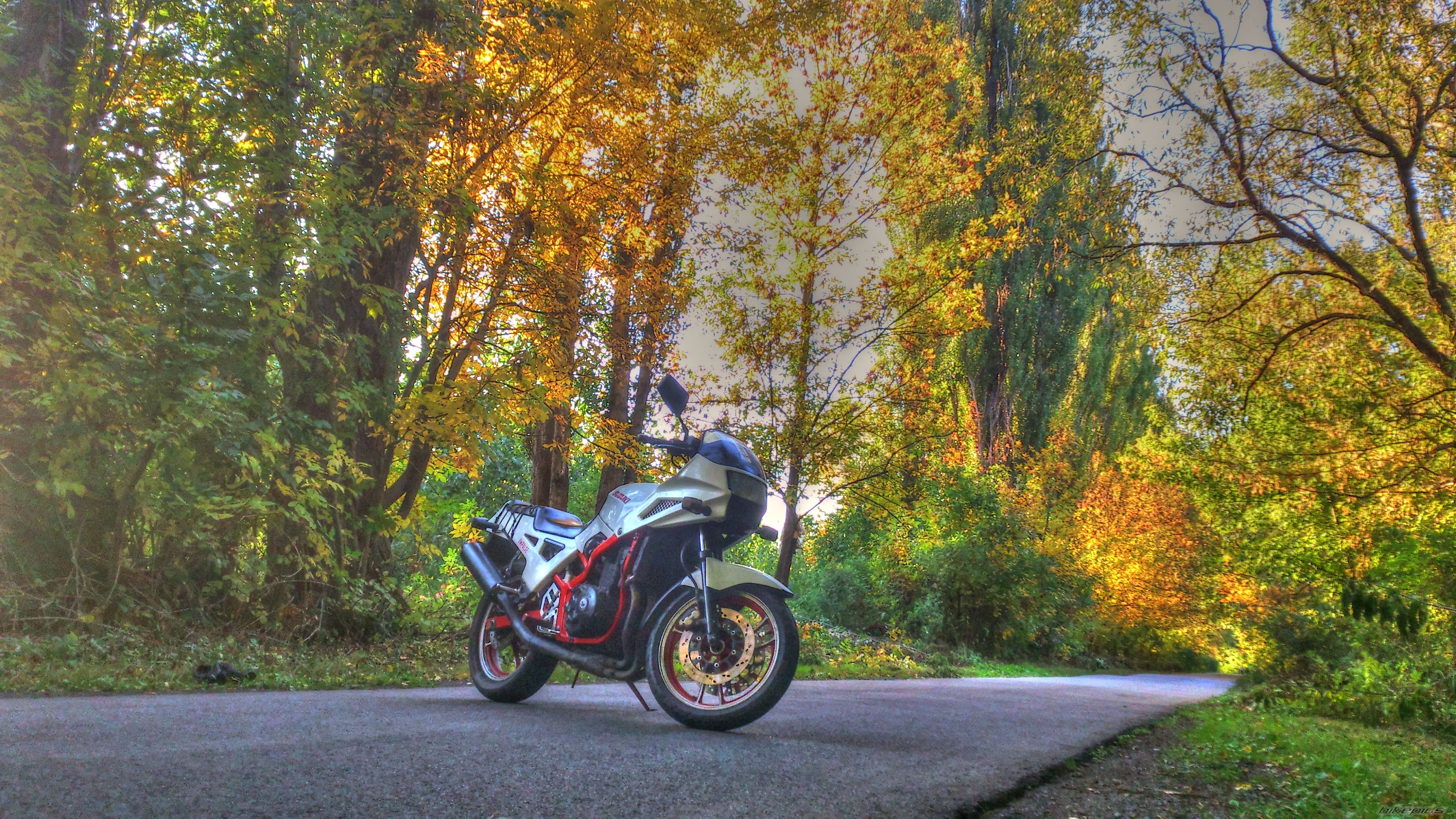 1986 SUZUKI GSX 400 X | Picture 2599300 motorcycle photo