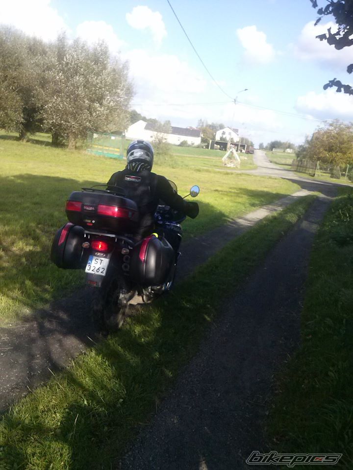    | Picture 2599458 motorcycle photo