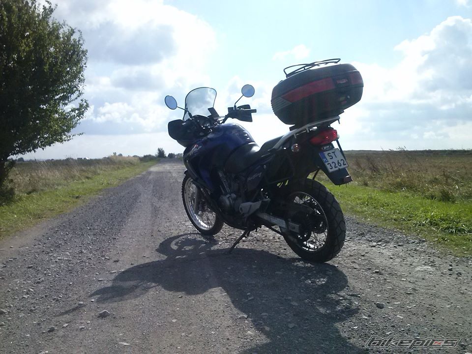    | Picture 2599461 motorcycle photo