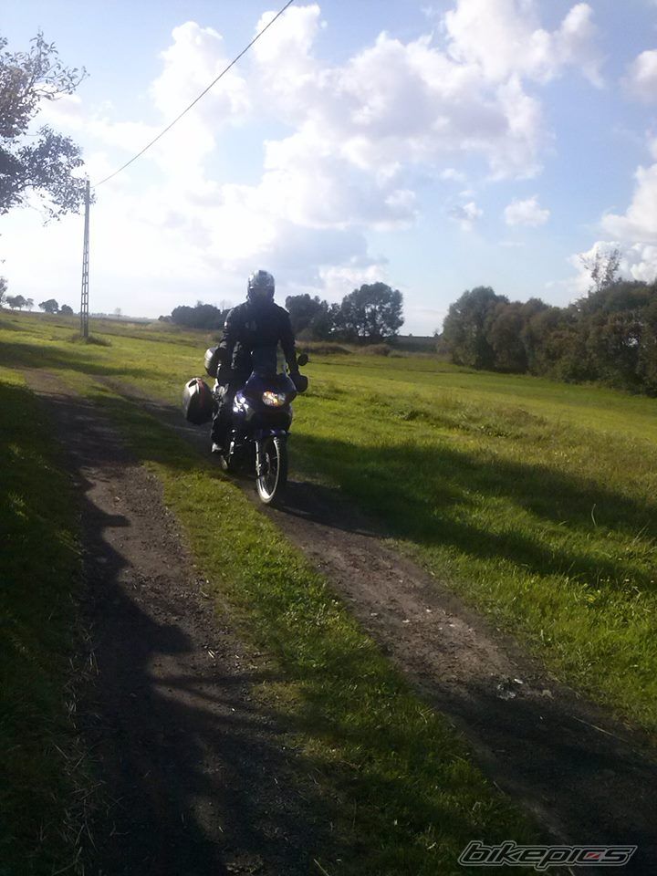    | Picture 2599462 motorcycle photo