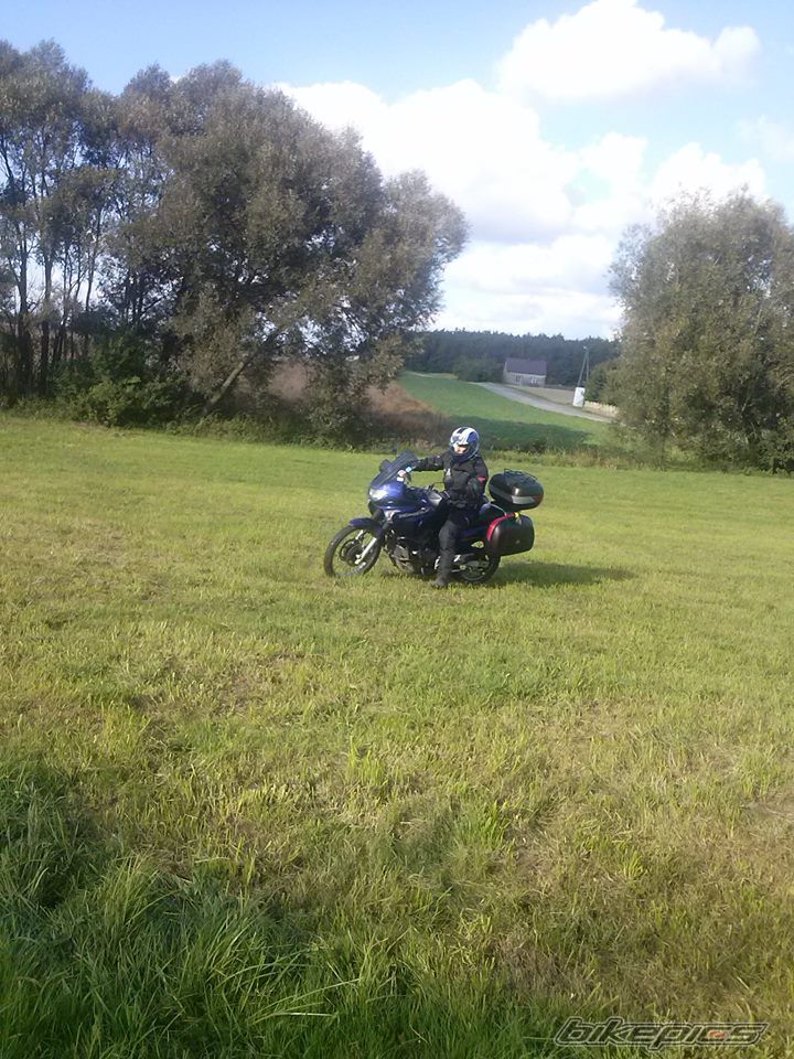    | Picture 2599463 motorcycle photo