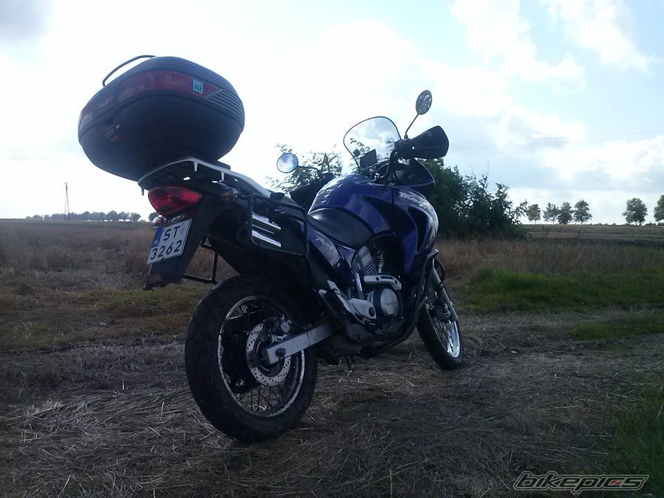    | Picture 2599466 motorcycle photo