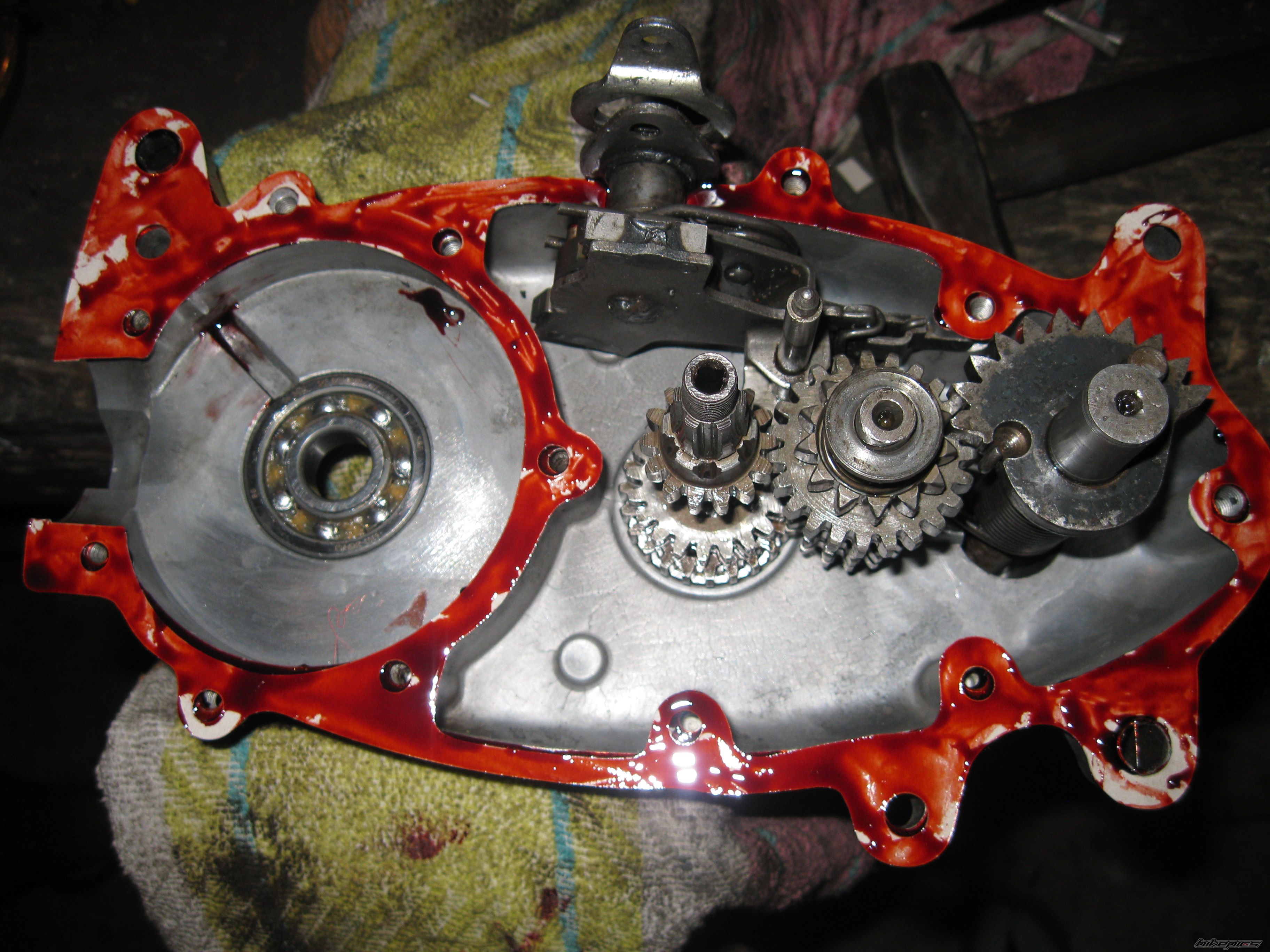 1971 JAWA 50 | Picture 2599519 motorcycle photo