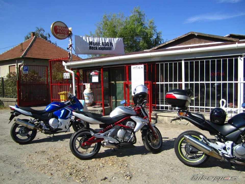2008 SUZUKI GSX650F | Picture 2600114 motorcycle photo