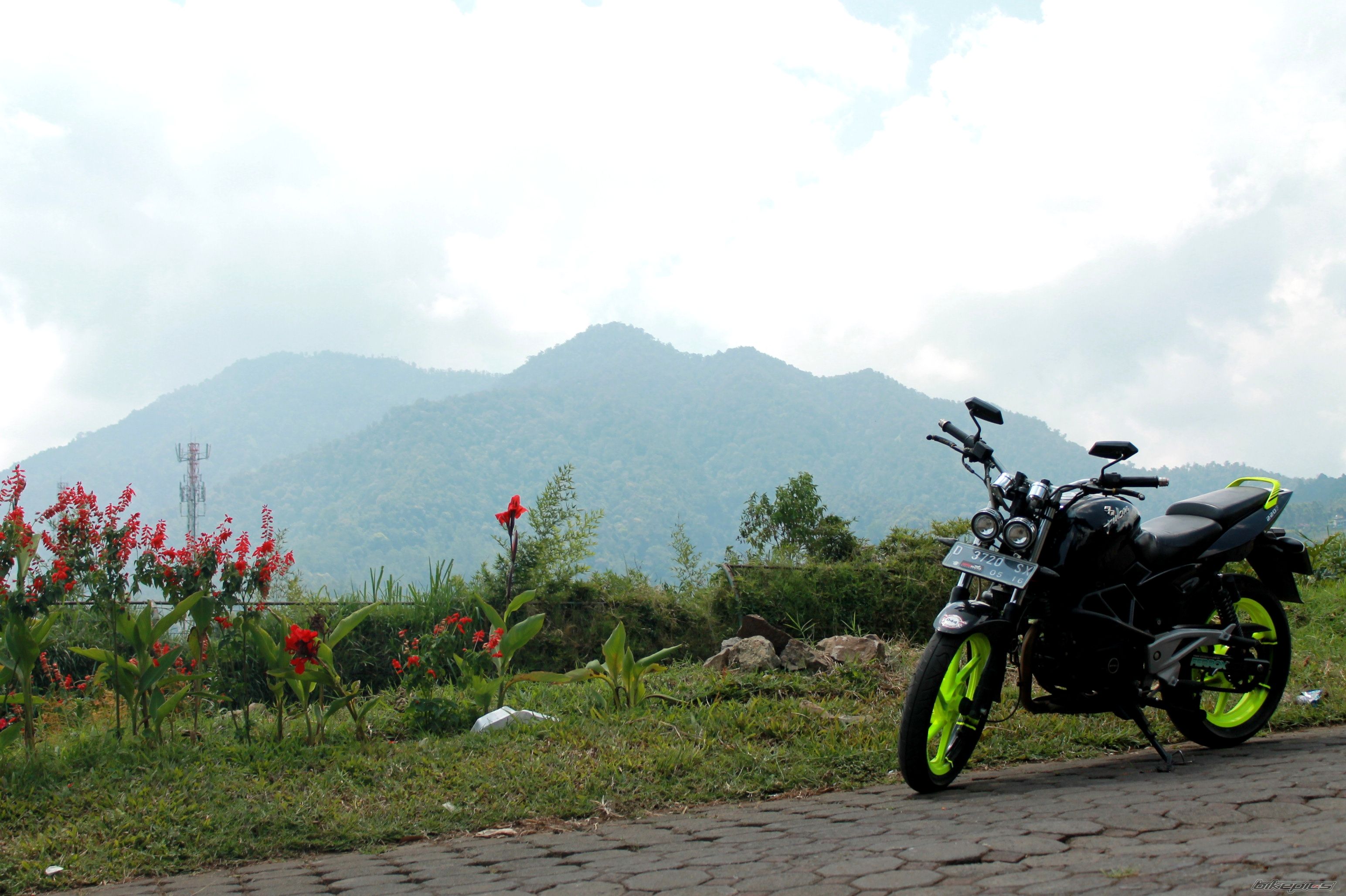 2011 BAJAJ PULSAR 220F | Picture 2600334 motorcycle photo
