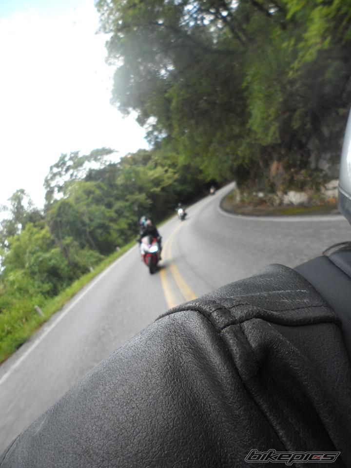 2004 HONDA CBR 1000  RR | Picture 2600335 motorcycle photo