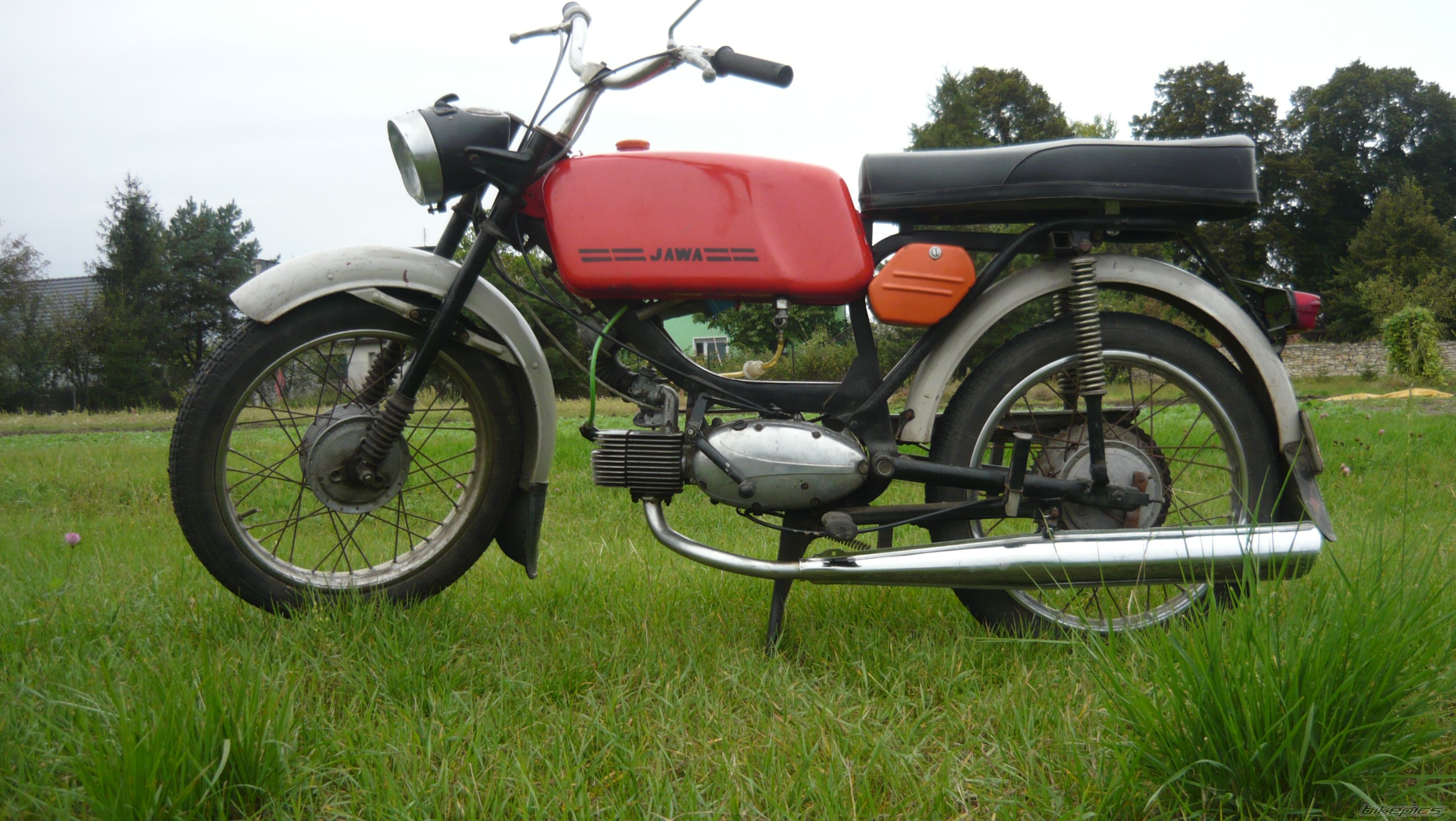 1981 JAWA 50 | Picture 2600923 motorcycle photo