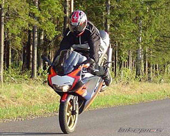2003 APRILIA RS 125 | Picture 260151 motorcycle photo