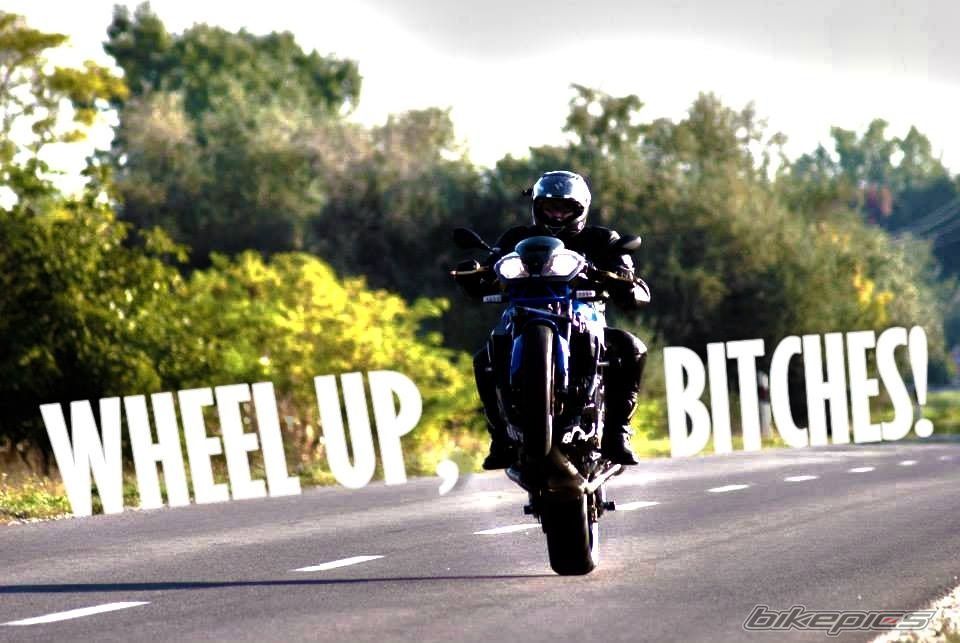    | Picture 2601743 motorcycle photo