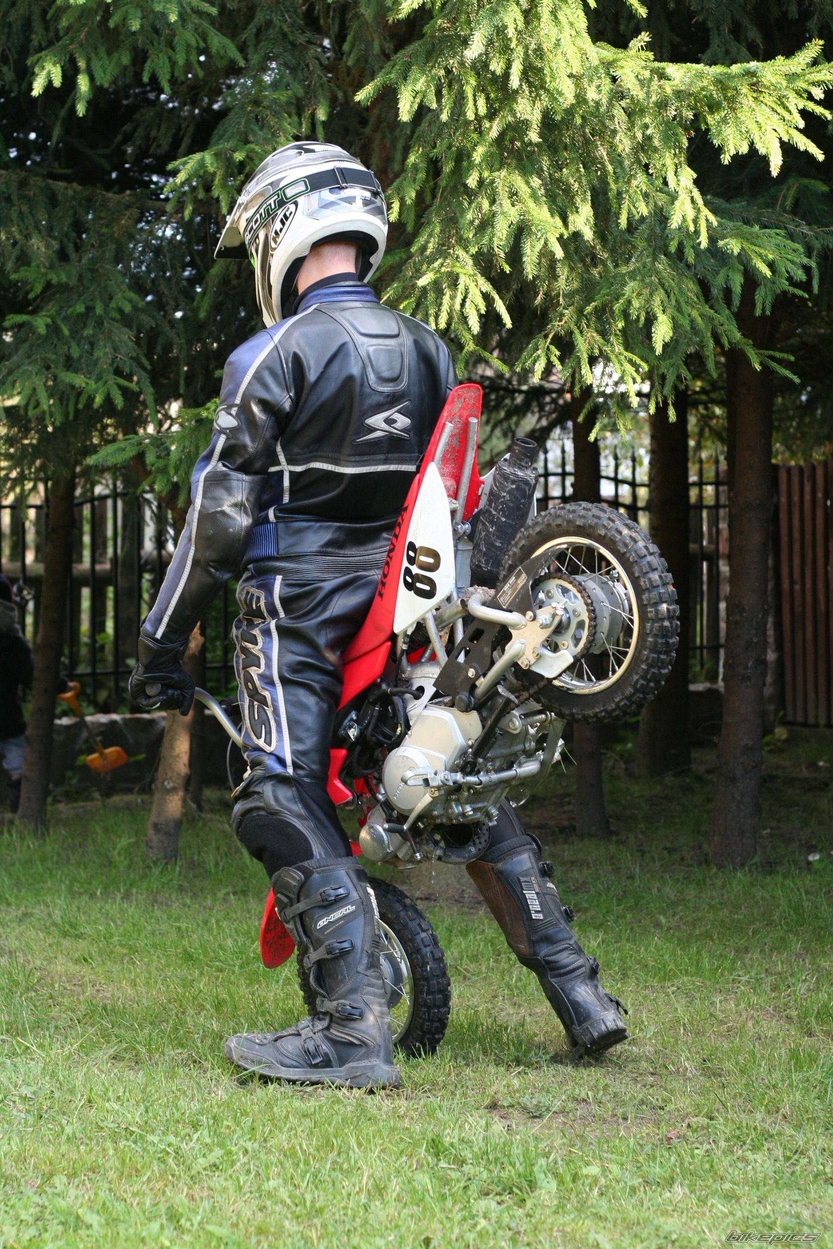 2007 HONDA CRF 50 | Picture 2601781 motorcycle photo