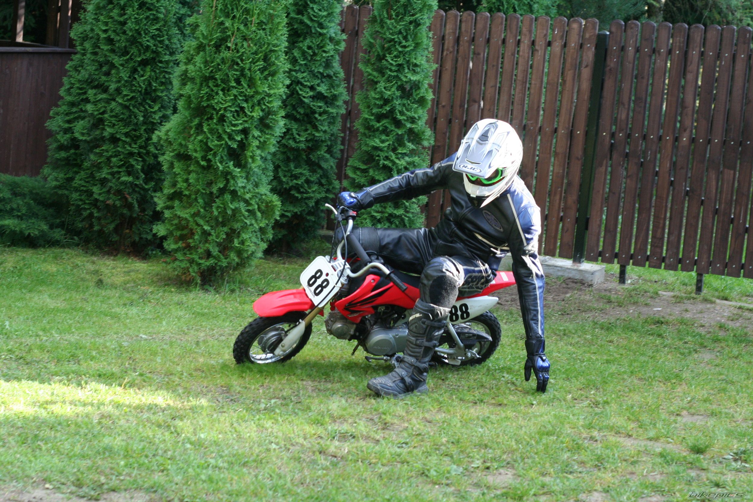 2007 HONDA CRF 50 | Picture 2601782 motorcycle photo