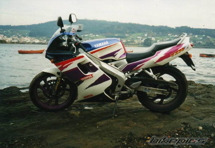 1996 YAMAHA TZR 80 | Picture 2602 motorcycle photo
