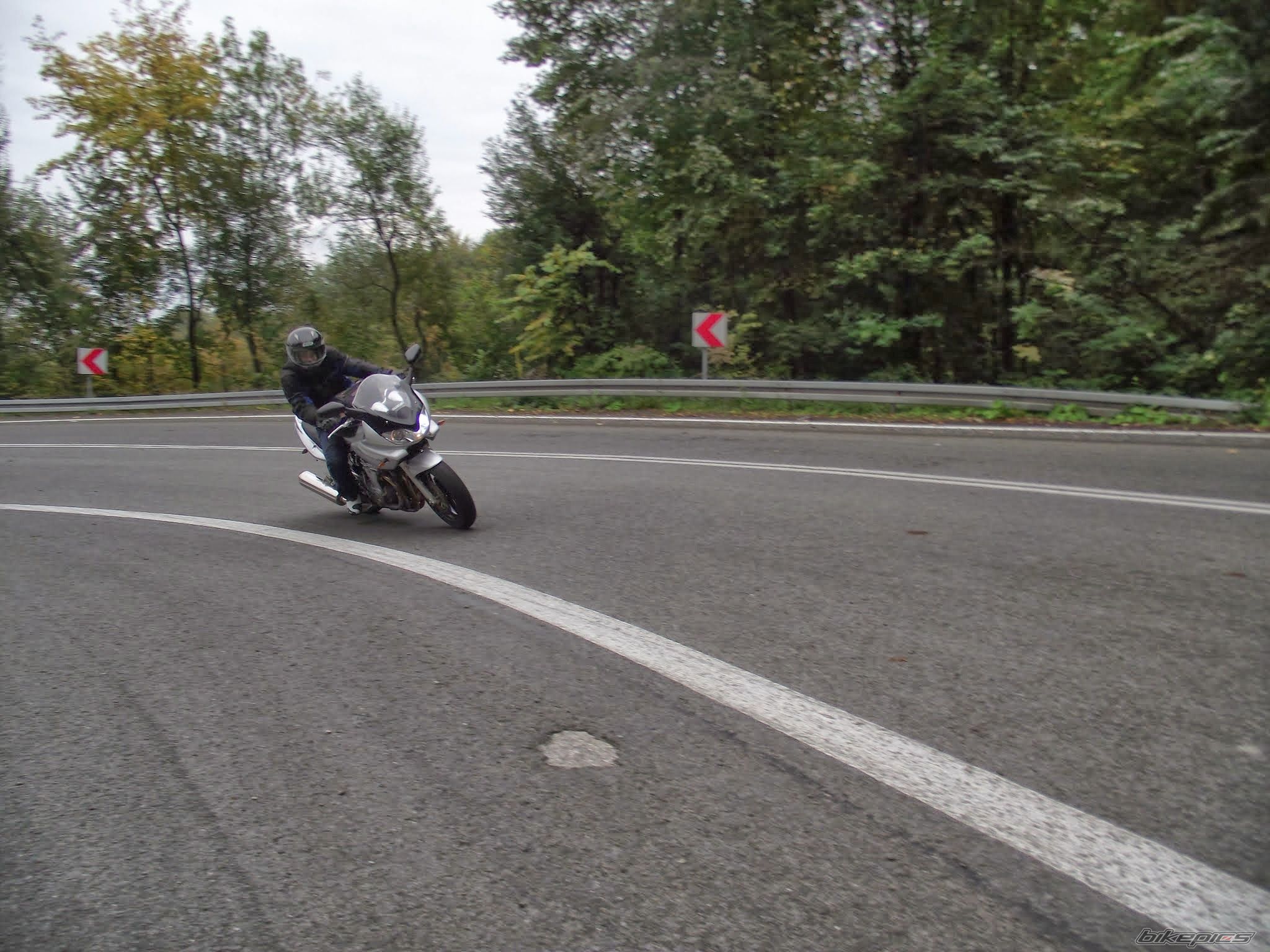 2004 SUZUKI BANDIT 600S | Picture 2602759 motorcycle photo